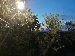 Tenuta Colverano - Montefalco - 3