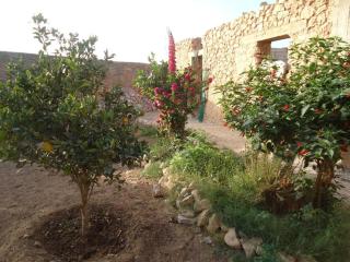 Takad Dream Rural - Takate - 4