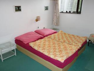 Apartma Šťastný II - Bechyně - 4