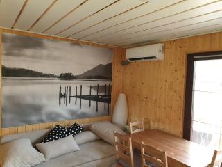 Haus Kanzler - Schwielochsee - 3
