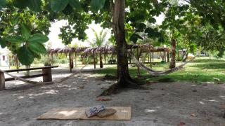 Eco Glamping Caraiva - 6