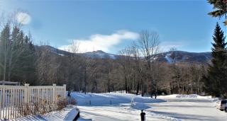 Perfect four bedroom condo with shuttle to the mountain, ski Back Whiffletree D8 - Killington - 1