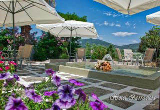 Hotel Barracuda - Sarti - 1