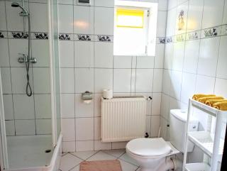 Jaskółka - Lądek-Zdrój - 8