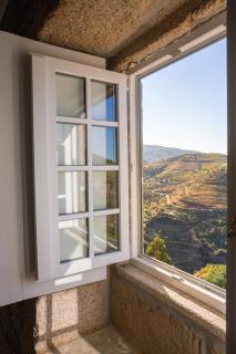 Quinta do Valdalágea - Peso da Régua - 9