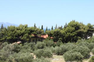 Apartments with a parking space Gradac, Makarska - 6881 - 8