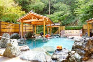 Ooedo Onsen Monogatari Hotel Reoma no Mori - Marugame - 0