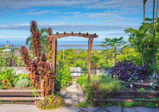 Affordable Luxury on One Acre - Kailua-Kona - 6