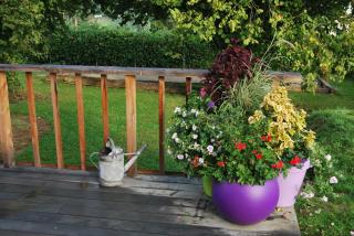 Gite MontBleu - 2 holiday houses - La Laiterie & La Grange - 1