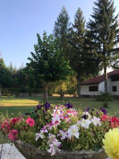 Chalet dell'Orso - Pescasseroli - 1