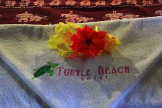 Turtle Beach Hotel - Gili Air - 4