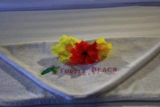Turtle Beach Hotel - Gili Air - 5