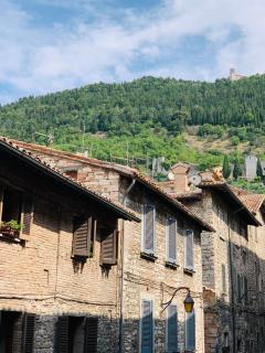 Palazzo Elisei - Gubbio - 1