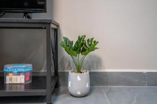 Zhengzhou Gaoxin· Henan University of Technology - 6