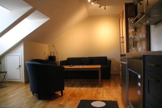 Myrkdalen Resort- studio apartment - Vossestrand - 5