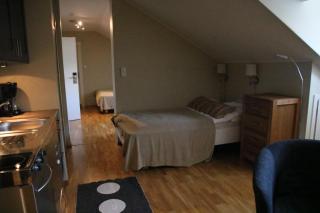 Myrkdalen Resort- studio apartment - Vossestrand - 9