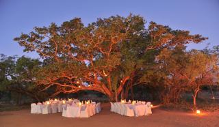 Mabula Game Lodge - Mabula - 3