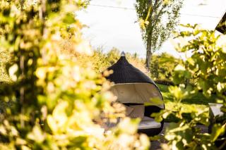 Wohnen beim Wein Tschermonegg - 5