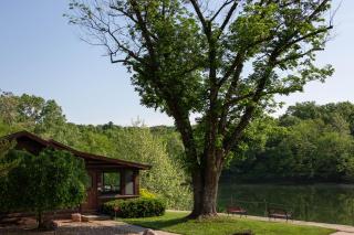 Basswood Resort - Platte City - 3