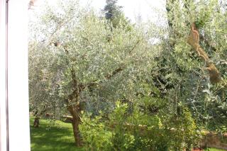 Lake & rest - Riva del Garda - 3