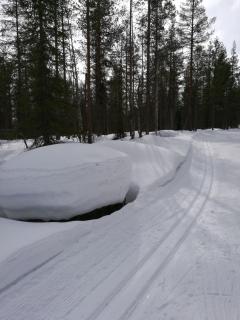 Tervalepikon Torpat - Sysmä - 5