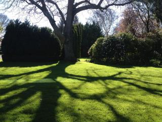 Walnut Grove Lodge - Christchurch - 9