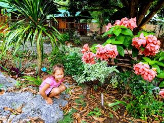 Moalboal Bamboo House / Rooms - Moalboal - 9