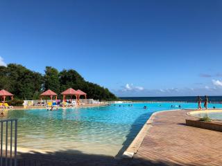 Anse des Rochers-Studio Zabrico - 2