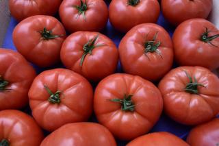 Le Grand Appartement - 1