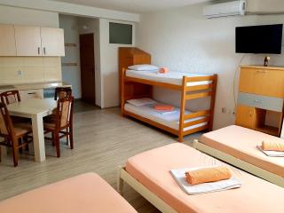 VIK Apartments - Vinica - 9