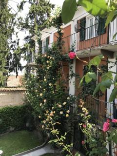 Bed & Roses Meni - La Morra - 0