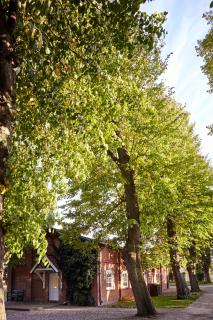 Cottage Margerite - Ferienhof Friedrichsthal - 0