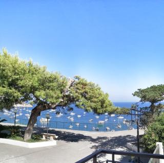 Calise guest house B senza balcone - Procida - 4