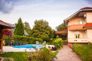 Villa Katarina with pool - Banja Luka - 4