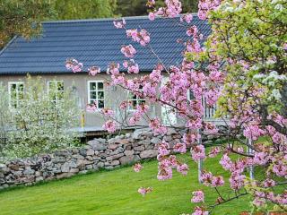 6 person holiday home in VAREKIL - 6