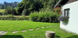 Chalupa U Studánky - Adršpach - 1