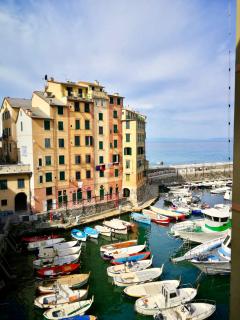 Sguardo sul Porto ( codice CITRA 01007-LT-0314 ) - Camogli - 2
