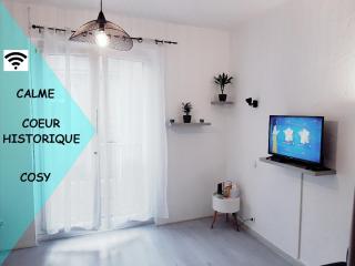 Studio Hyper Centre, Cosy Tourmalet - Lourdes - 0