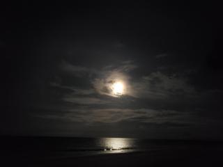Studio 1 Motel - Daytona Beach - Daytona Beach - 3
