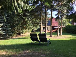 Mirow-Lärz- Ruhe Pur- Wald&See - Sauna-Haus mit Grundstück - Mirow - 5
