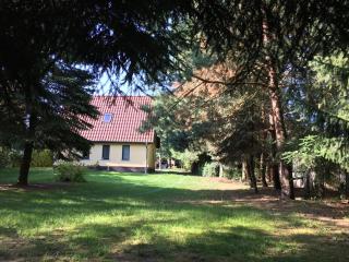 Mirow-Lärz- Ruhe Pur- Wald&See - Sauna-Haus mit Grundstück - Mirow - 6