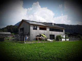 Appartment Hirschberg - Bizau - 9
