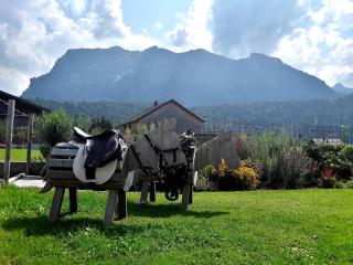 Appartment Hirschberg - Bizau - 3