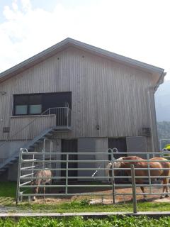 Appartment Hirschberg - Bizau - 5