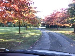 Chester Oaks B&B - West Melton - 1