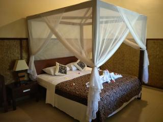 Frangipani Beach Hotel - Lovina - 2