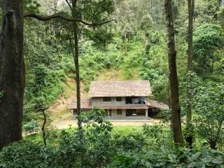 Kwality Estate - Madikeri - 3