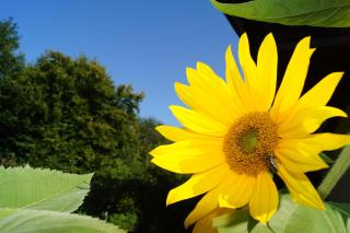 Landhaus Bernecker, Bay.W. - 5