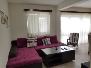Apartman Arija Zlatibor - Zlatibor - 9