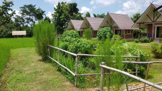 ฮ้างนาตาจันทร์ - Pua - 1
